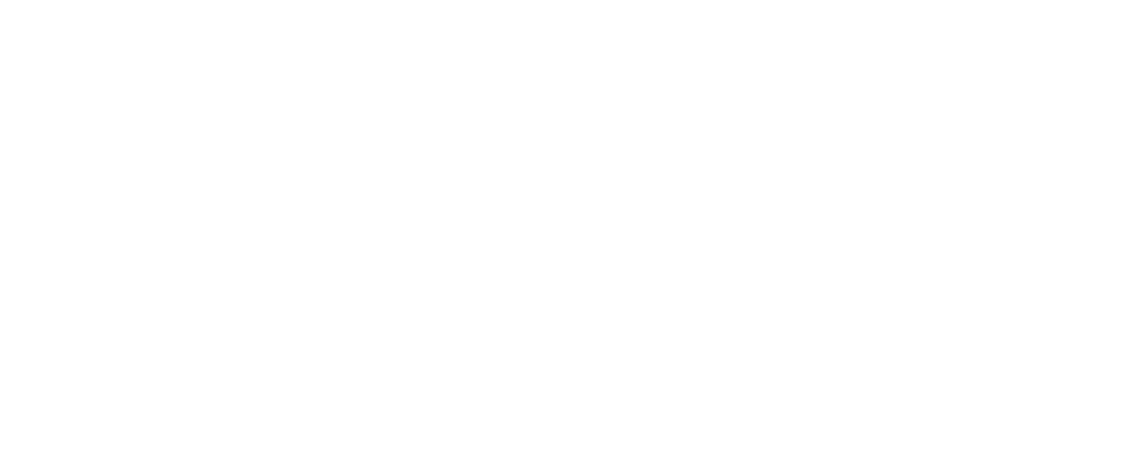 Lalizer İnşaat Logo